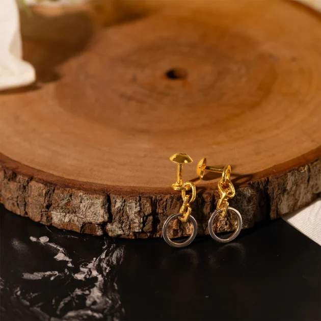 Hoop Luxe Earrings